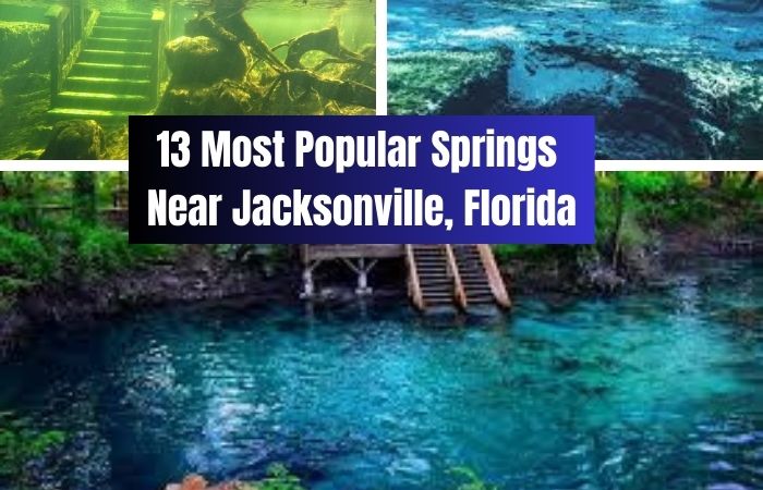13 Most Popular Springs Near Jacksonville, Florida
