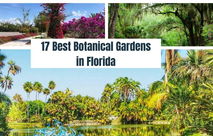 17-Best-Botanical-Gardens-in-Florida