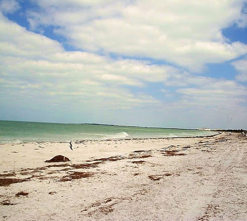 Caladesi Island Florida's Top 17 Beaches with Clearest Water