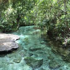 Rock Springs Florida's Top 17 Beaches with Clearest Water