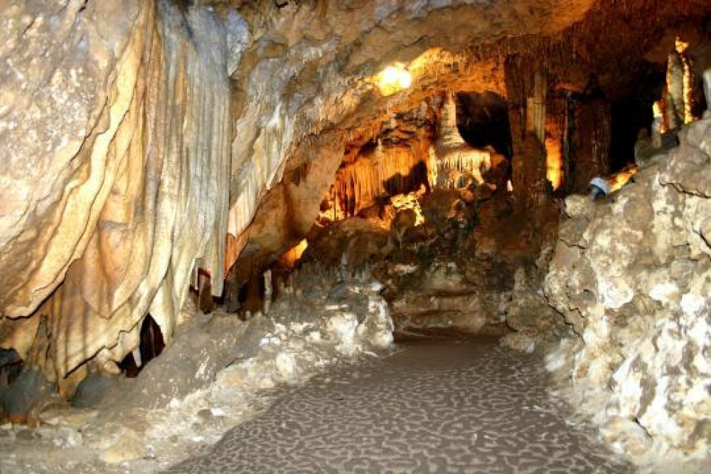 Florida Caverns State Park(Marianna)