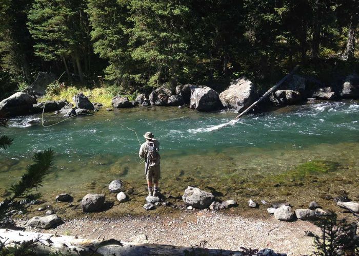 Explore the Henry's Fork River