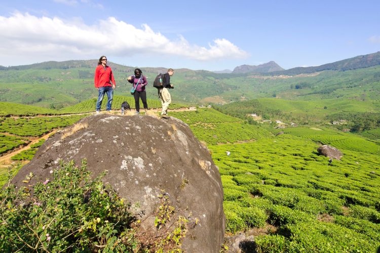 Best Places for couples in Munnar India