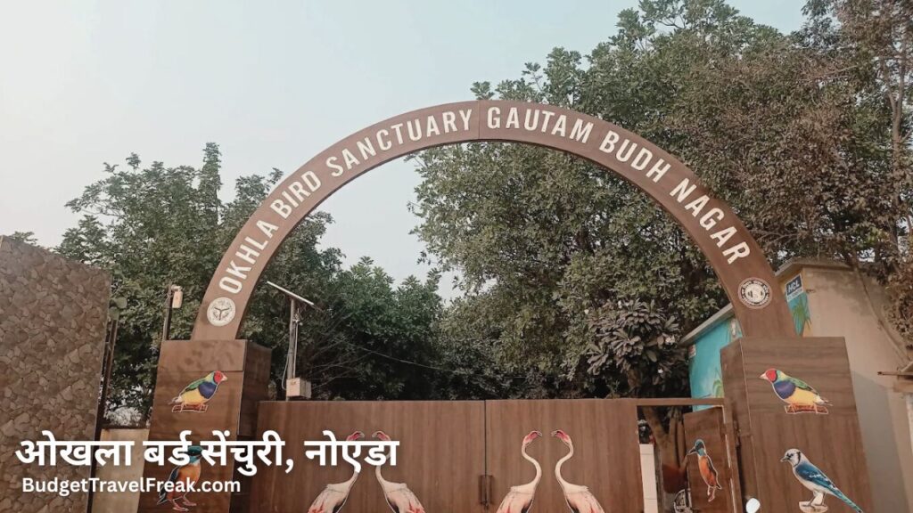 ओखला बर्ड सेंचुरी, नोएडा